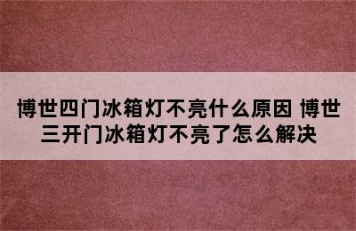 博世四门冰箱灯不亮什么原因 博世三开门冰箱灯不亮了怎么解决